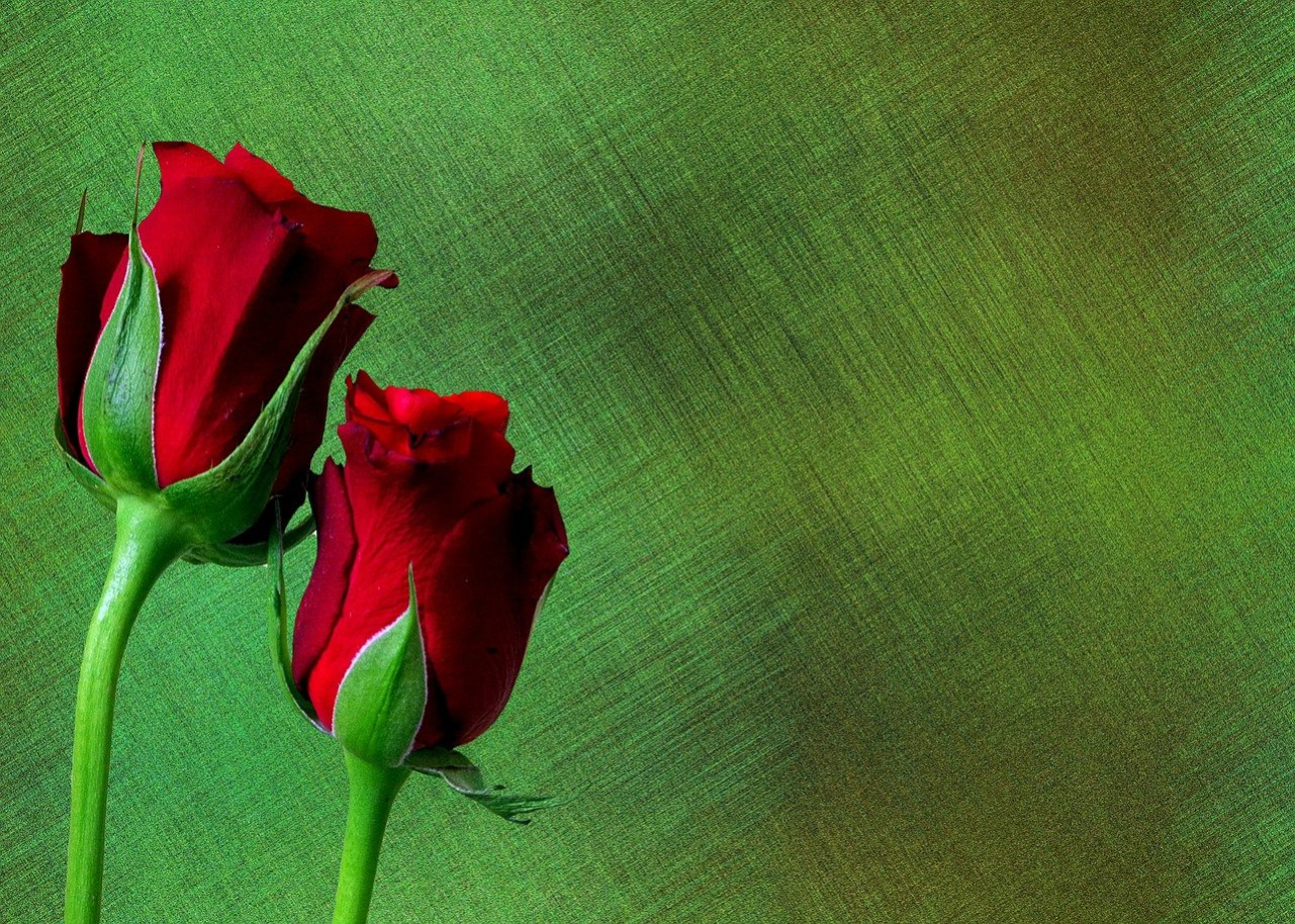 background-2462489_1280