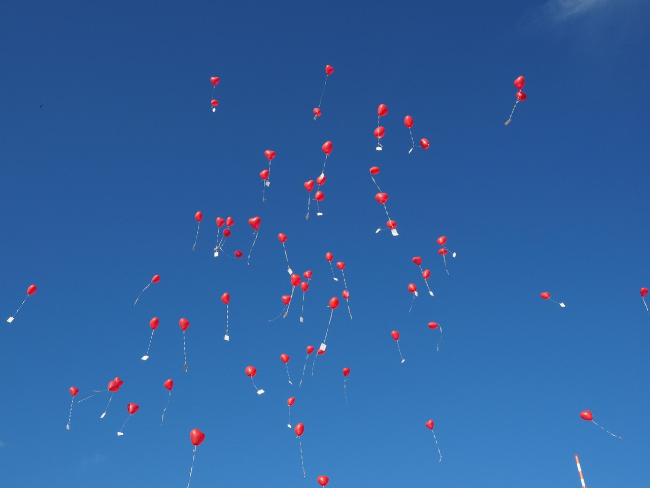 balloons-693784_1280
