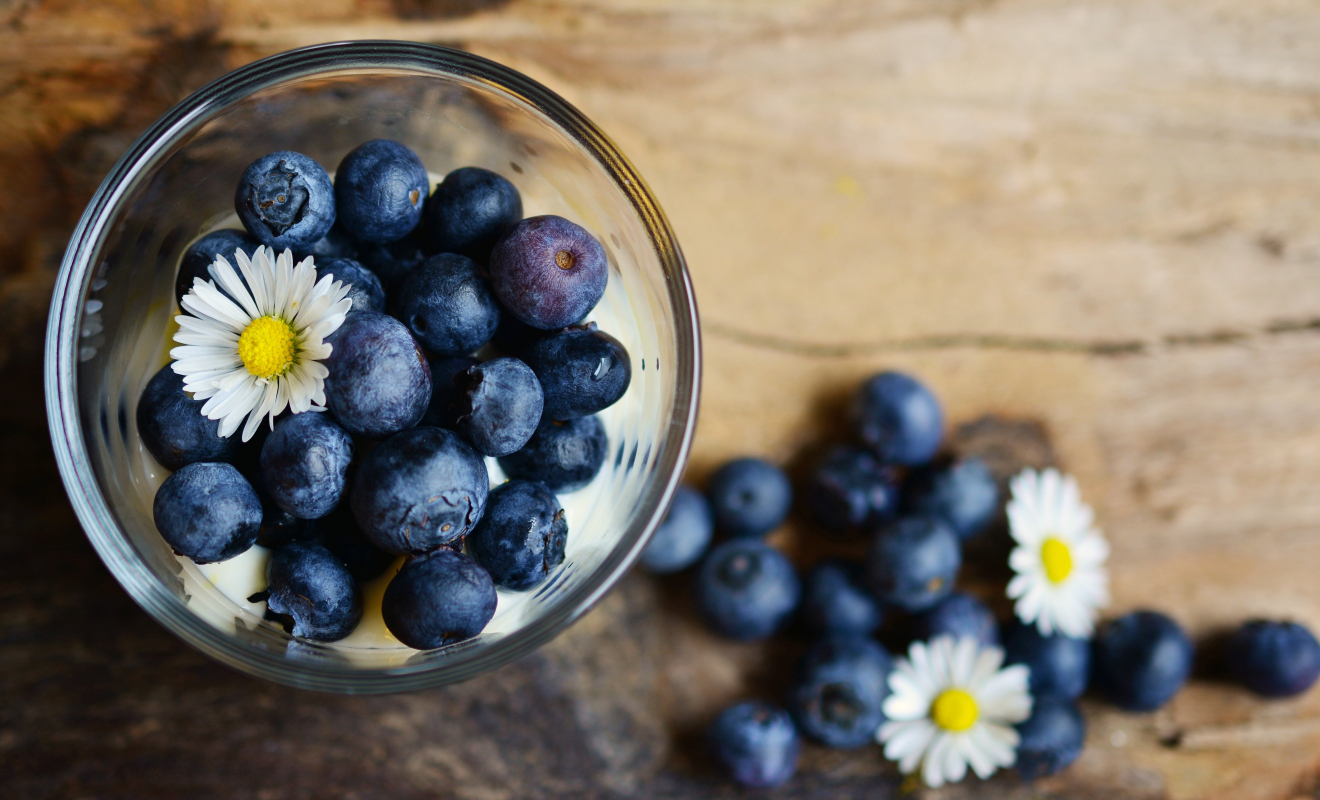 congerdesign-blueberries-2278921