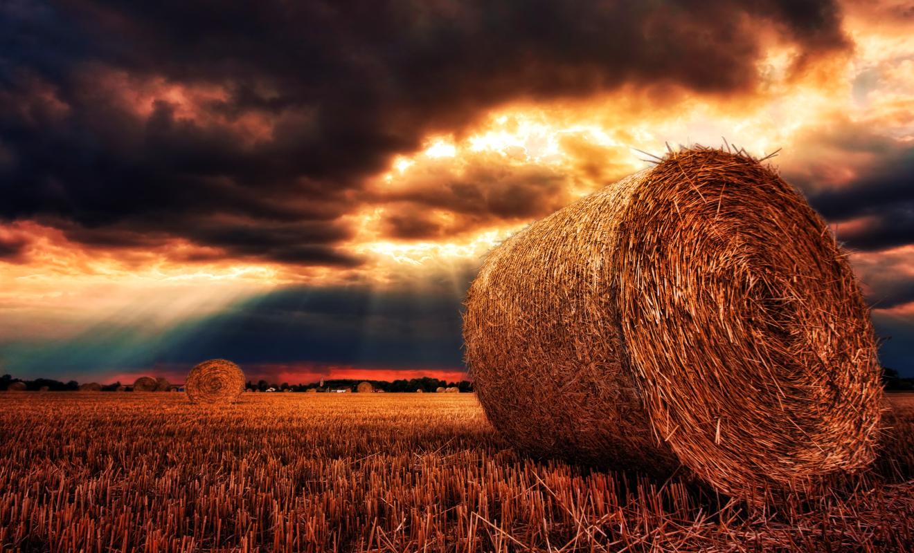 jplenio-nature-3126513