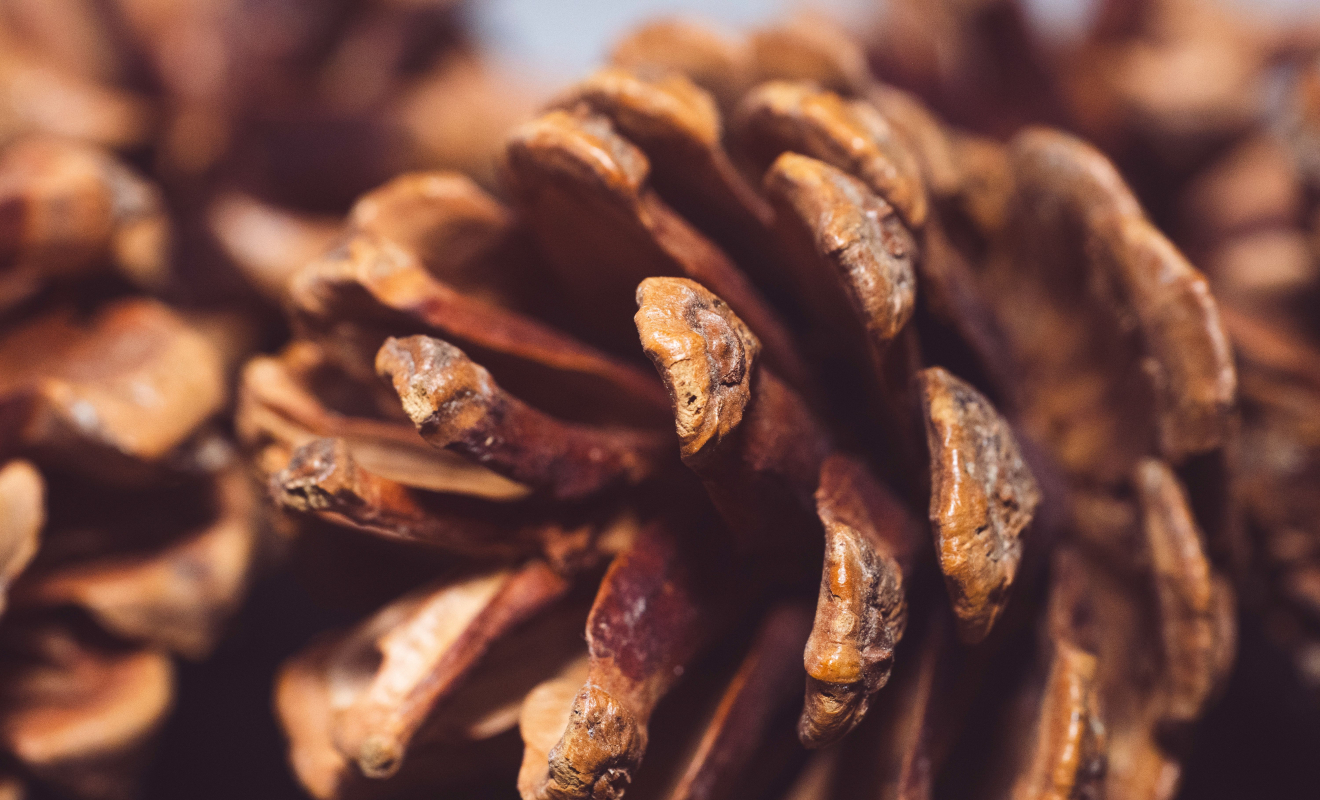 pexels-jaralol-33999095