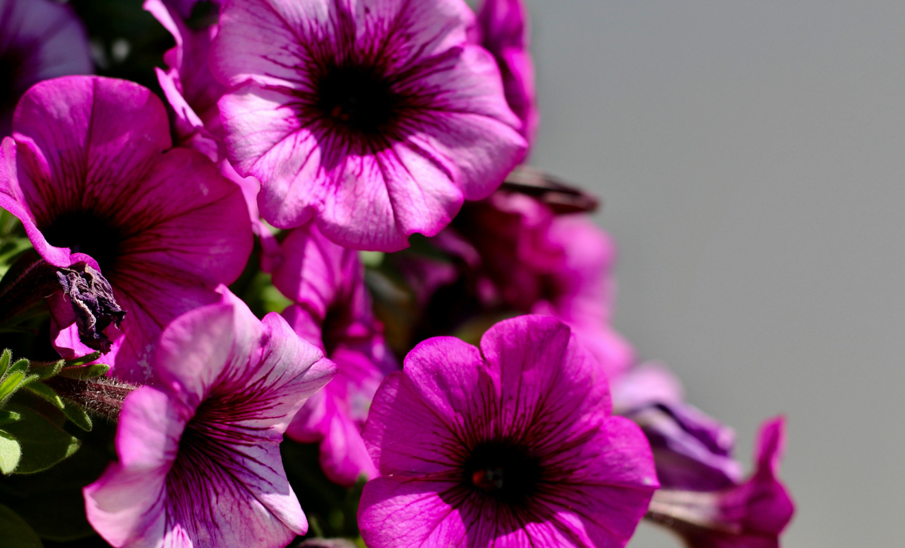 pexels-jenna-hamra-248942-23947970